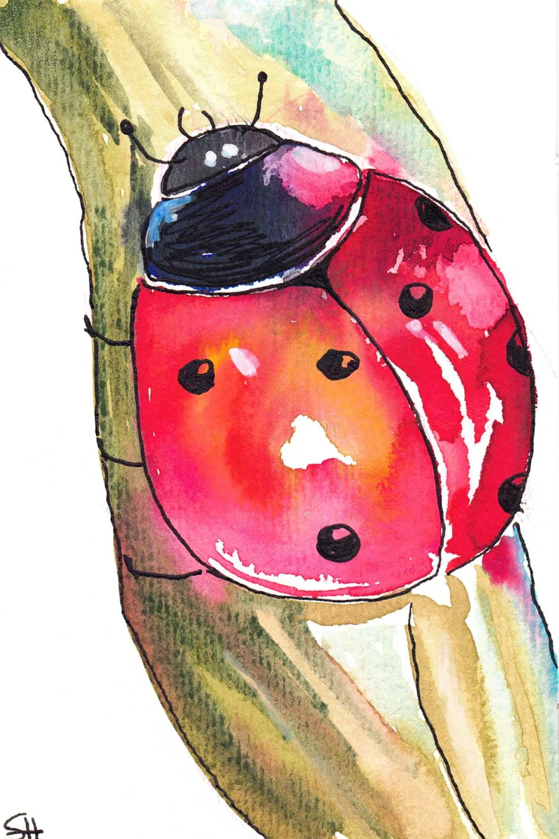 'Animal' 4 x 6 Original Art Cards by Sabine Hahnel - Image 3