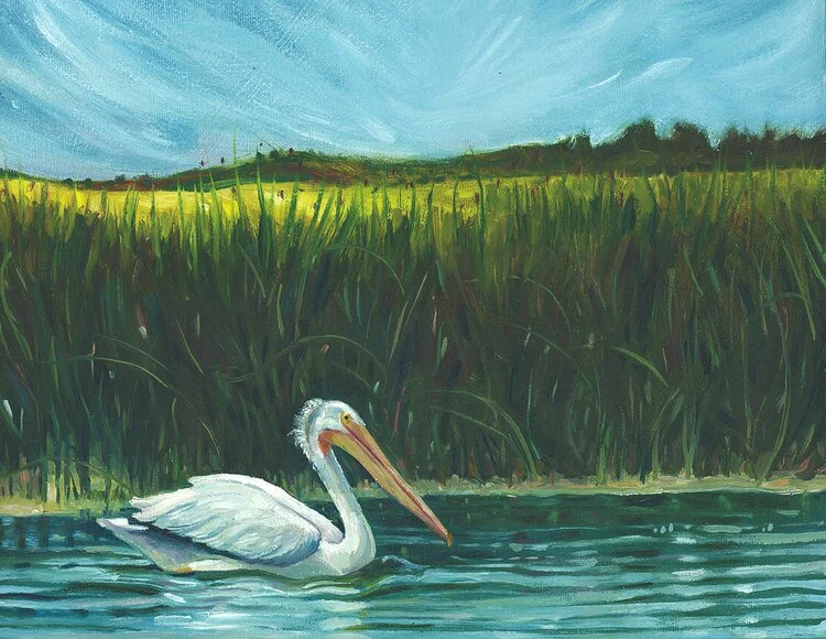 Animal Series Art Cards by Crystal Driedger - Image 3