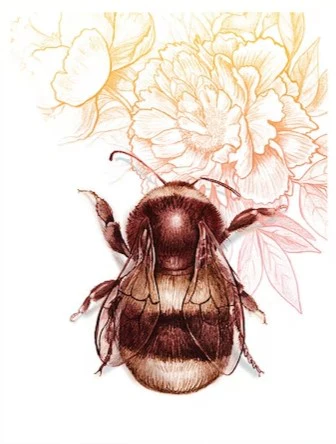 Animal Series Art Prints by Crystal Driedger - Image 3
