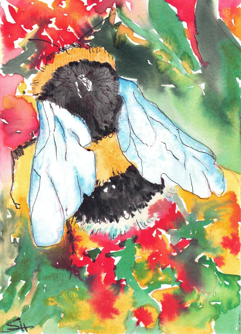 'Animal Series' 5 x 7 Original Art Cards by Sabine Hahnel - Image 2