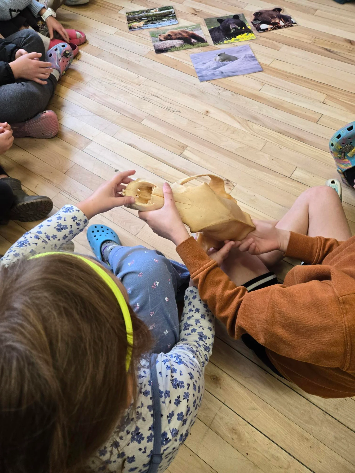 Animals + Seasons at the Museum