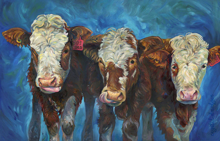 Cow Series Art Cards by Crystal Driedger - Image 5