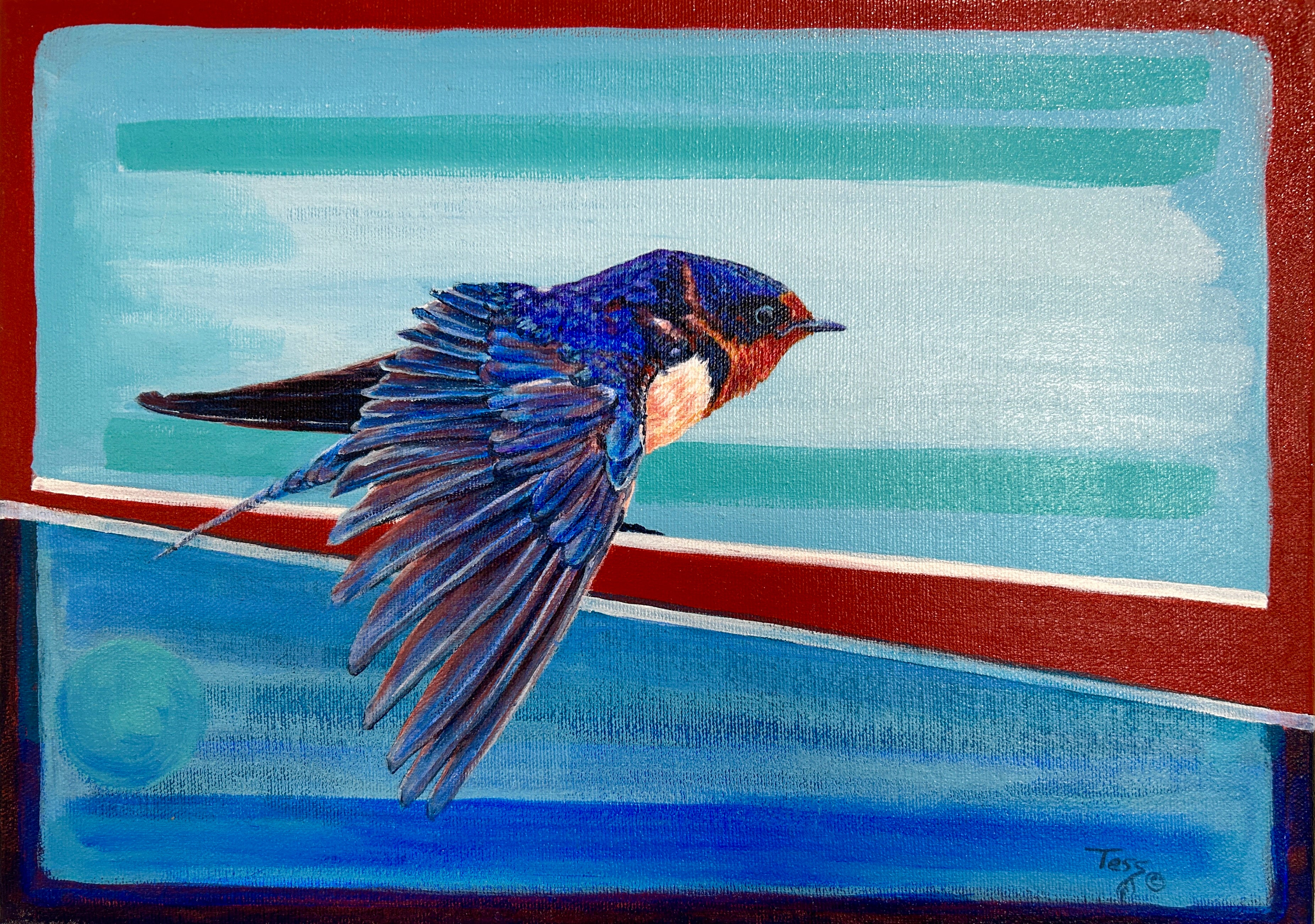 Barn Swallow