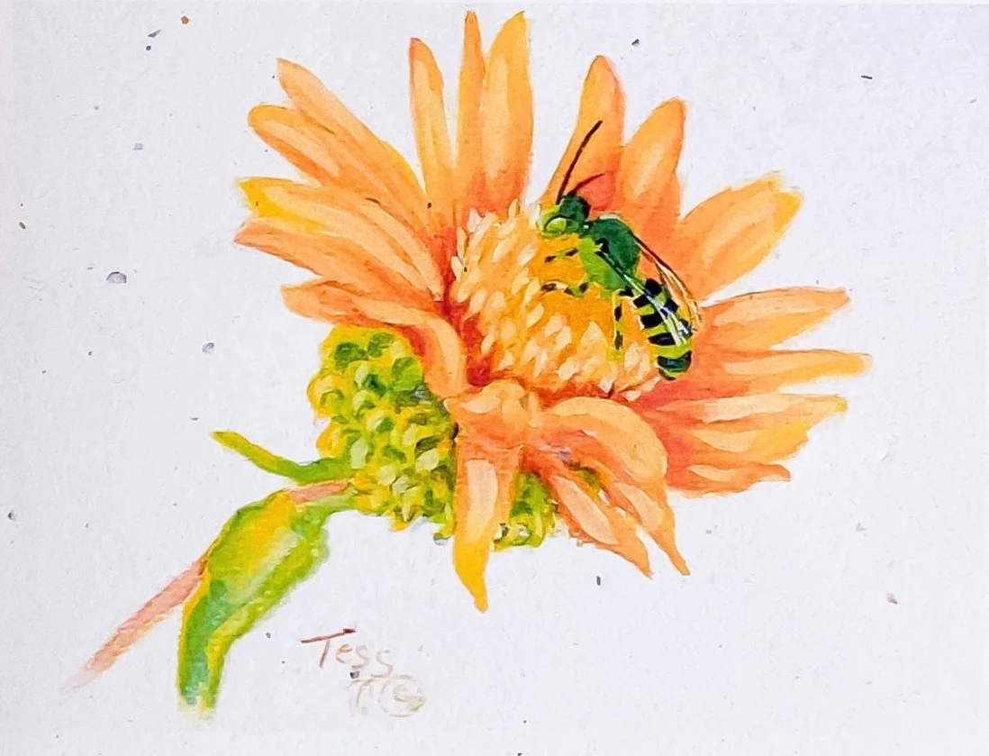 'Bee' Art Cards By Teresa Stieben