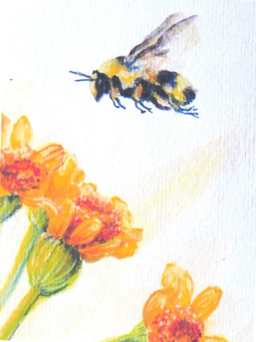 'Bee' Art Cards By Teresa Stieben - Image 2