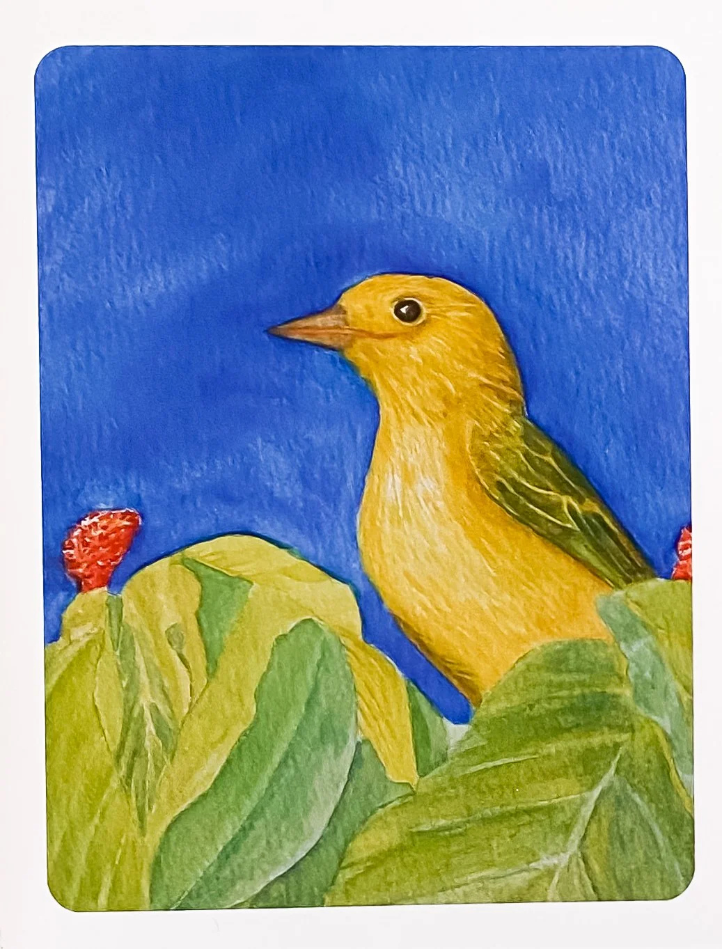 Bird Art Cards by Gerald Delorme - Image 7