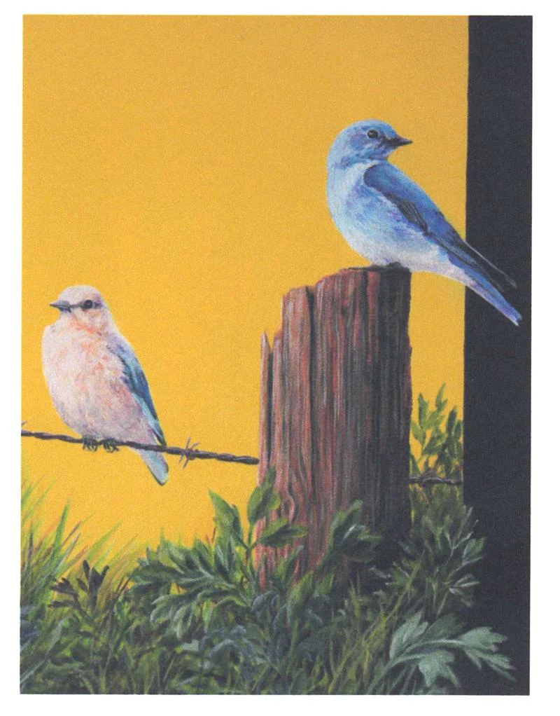 Birds & Butterflies Art Cards By Teresa Stieben