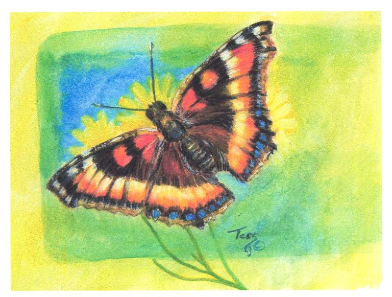 Birds & Butterflies Art Cards By Teresa Stieben - Image 4