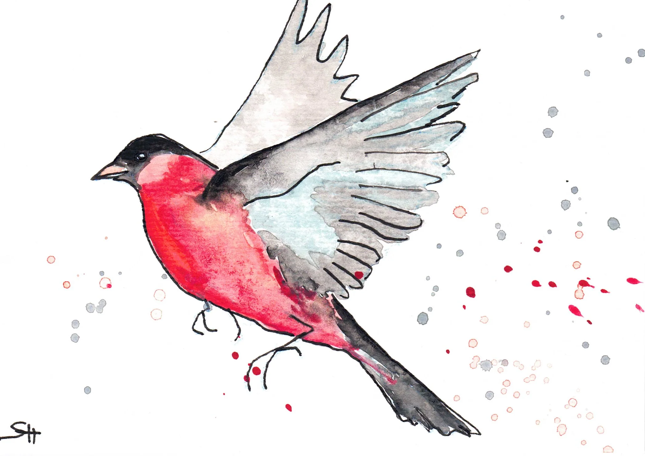 'Bird Series' 5 x 7 Original Art Cards by Sabine Hahnel