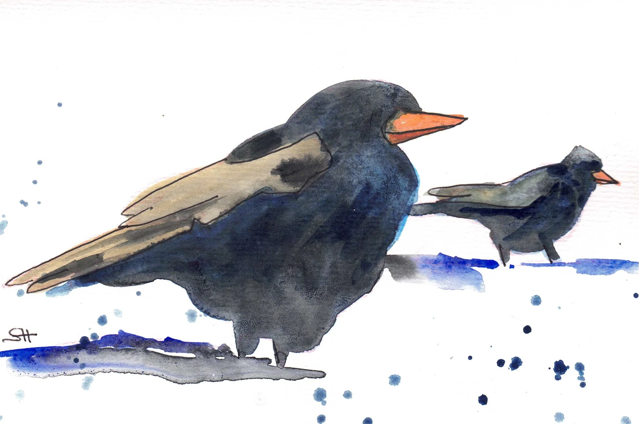 'Bird Series' 5 x 7 Original Art Cards by Sabine Hahnel - Image 3