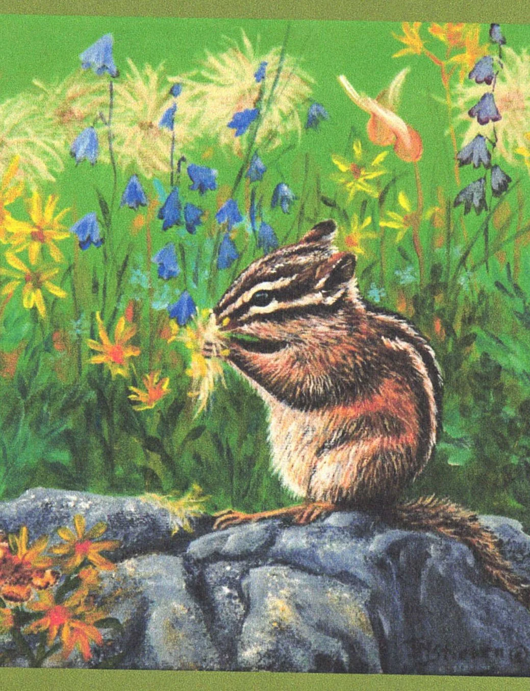 Animal Art Cards By Teresa Stieben - Image 4