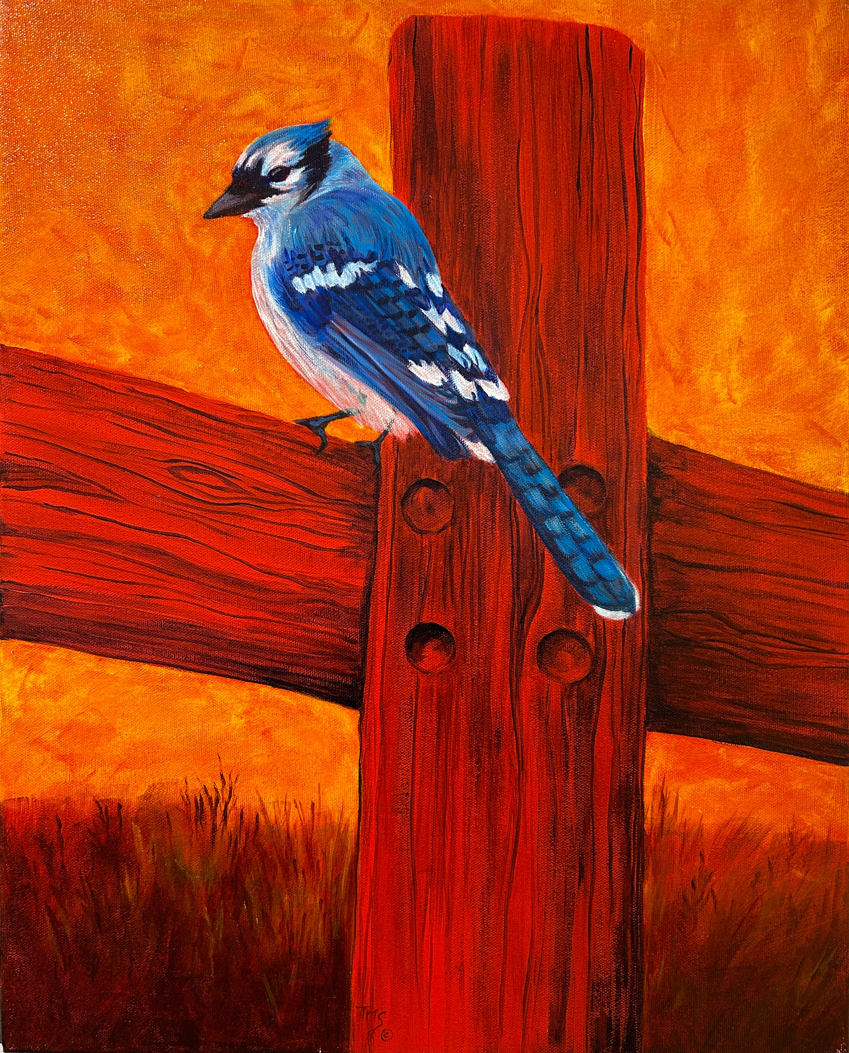 Blue Jay Cross