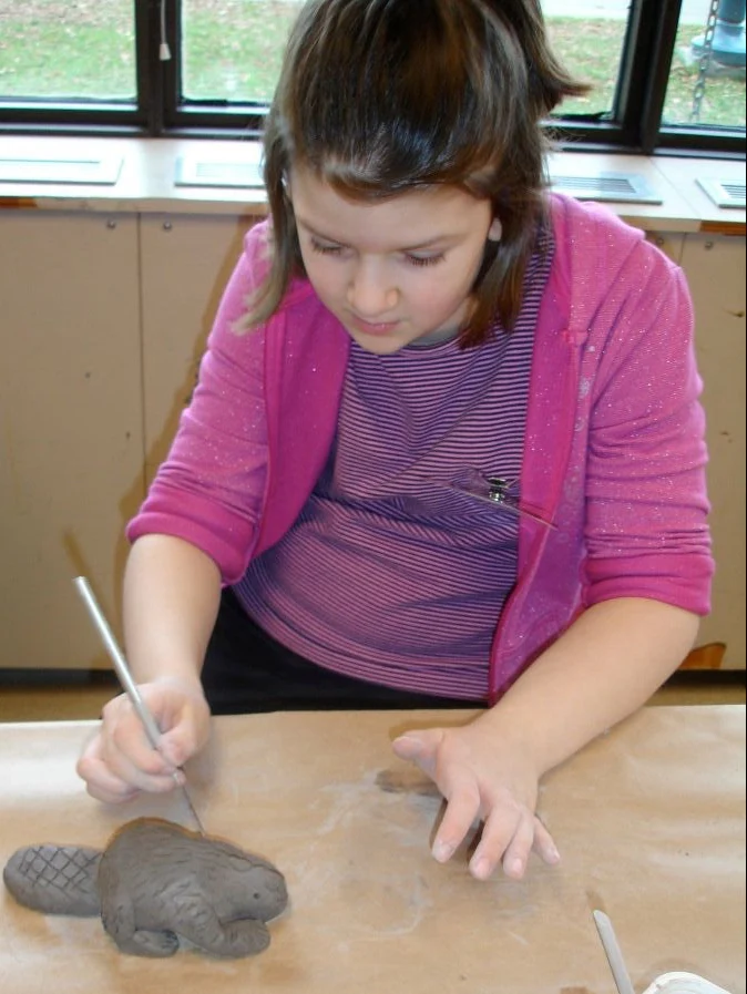 Canadian Beaver - Image 3