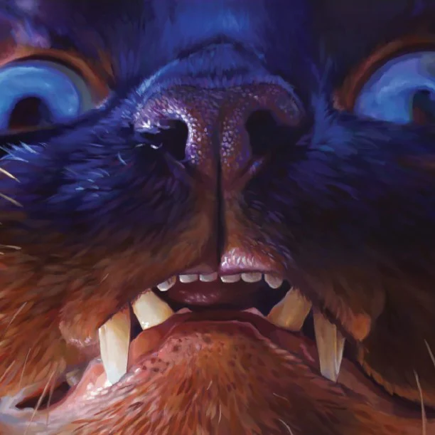 'Cats' Expressive Animal Portrait Art Cards by Robin Good - Image 18