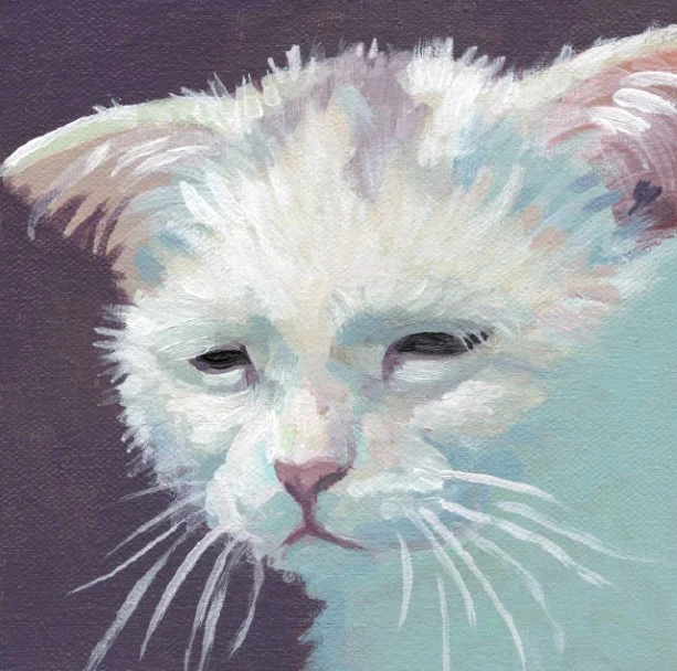 'Cats' Expressive Animal Portrait Art Cards by Robin Good - Image 4