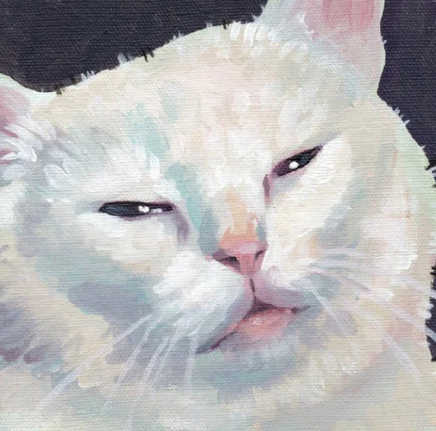 'Cats' Expressive Animal Portrait Art Cards by Robin Good - Image 5