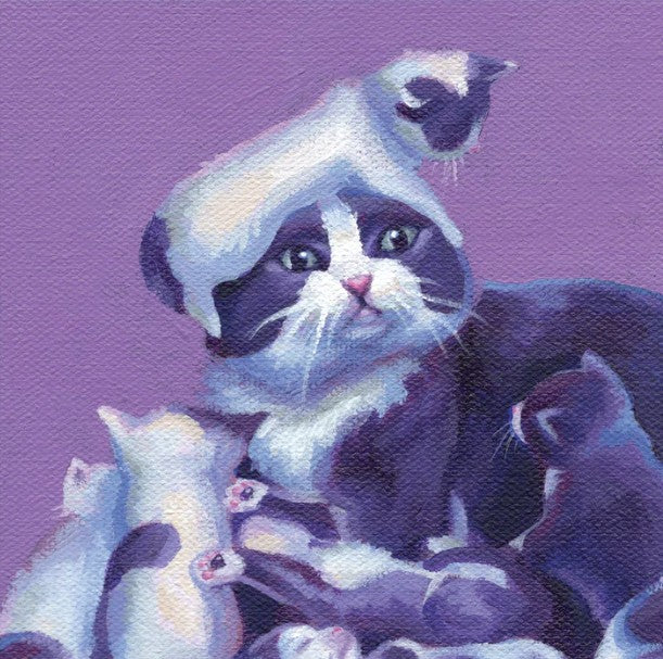 'Cats' Expressive Animal Portrait Art Cards by Robin Good - Image 7