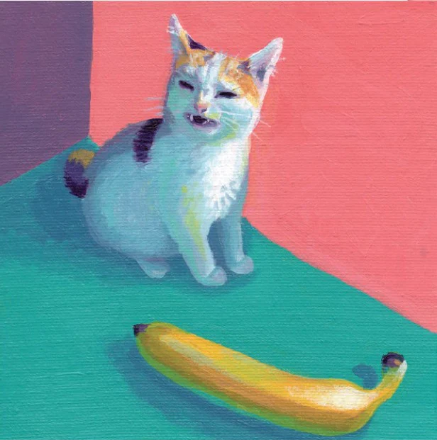 'Cats' Expressive Animal Portrait Art Cards by Robin Good - Image 8