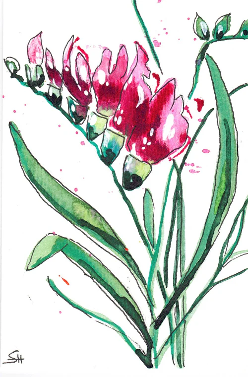 'Floral Series' 4 x 6 Original Art Cards by Sabine Hahnel - Image 2