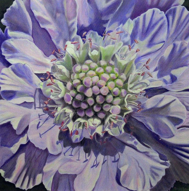 Floral Series Art Prints by Memory Roth - Image 6