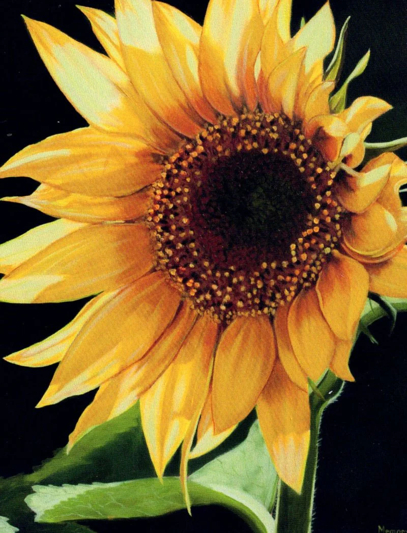 Floral Series Art Prints by Memory Roth - Image 7