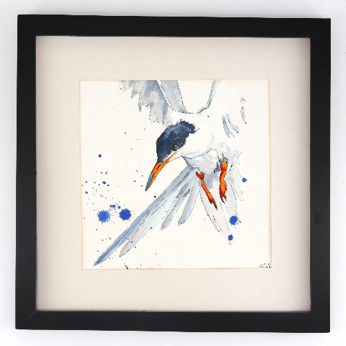 Framed Original 12" x 12" Bird Watercolour Paintings by Sabine Hahnel