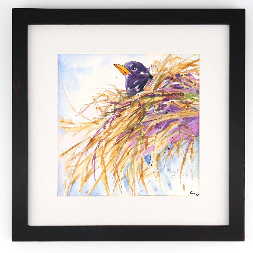 Framed Original 12" x 12" Bird Watercolour Paintings by Sabine Hahnel - Image 2