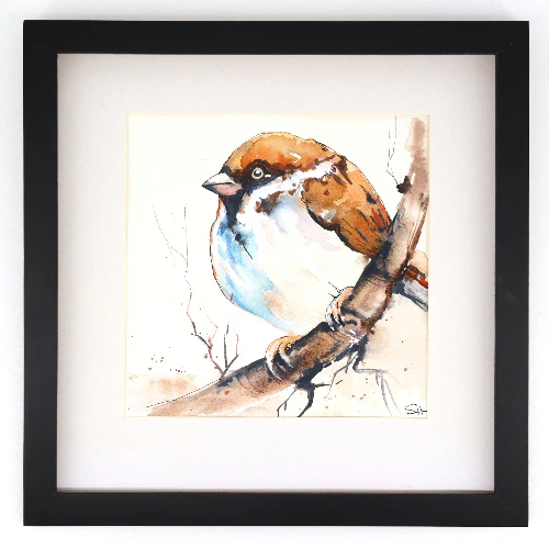 Framed Original 12" x 12" Bird Watercolour Paintings by Sabine Hahnel - Image 3