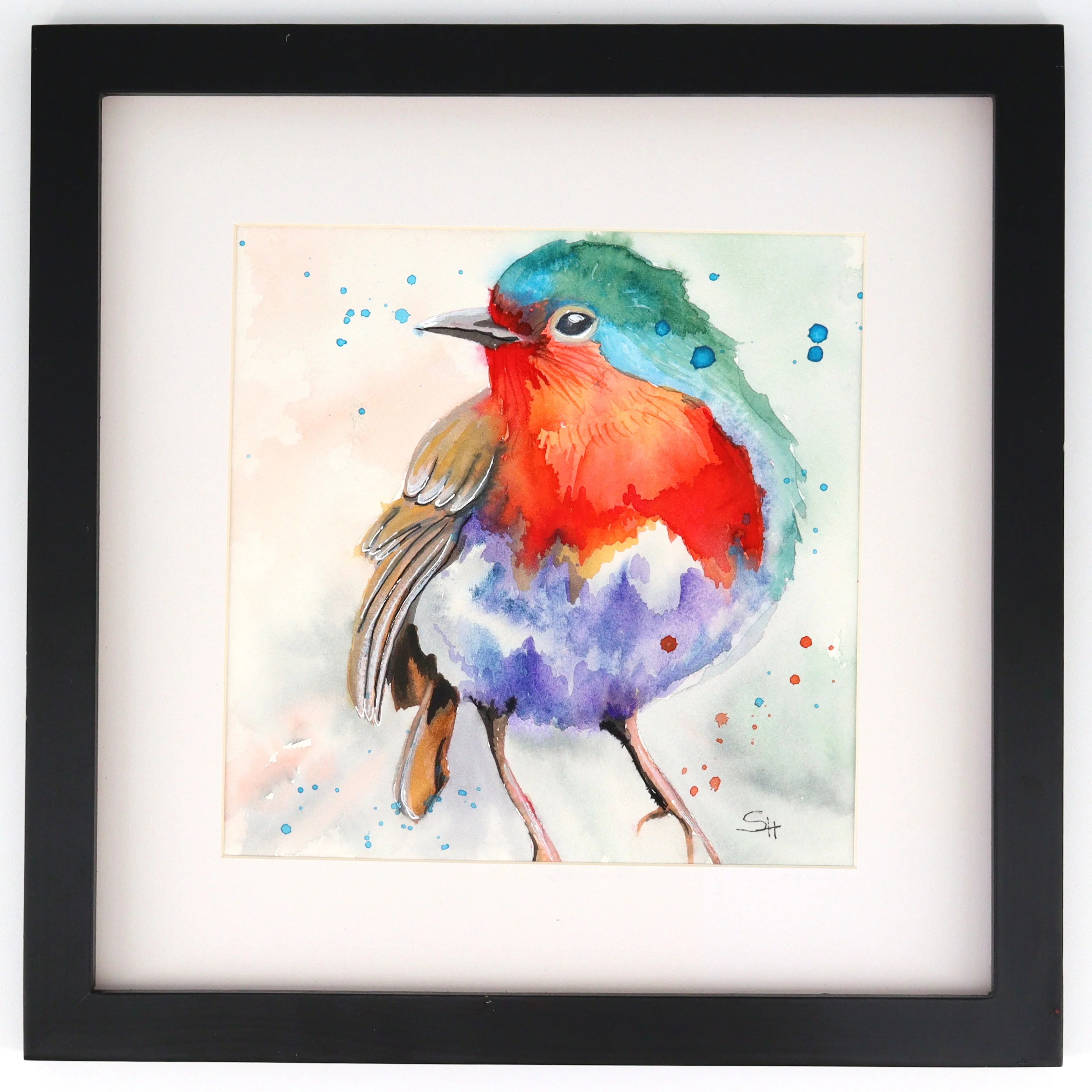 Framed Original 12" x 12" Bird Watercolour Paintings by Sabine Hahnel - Image 4