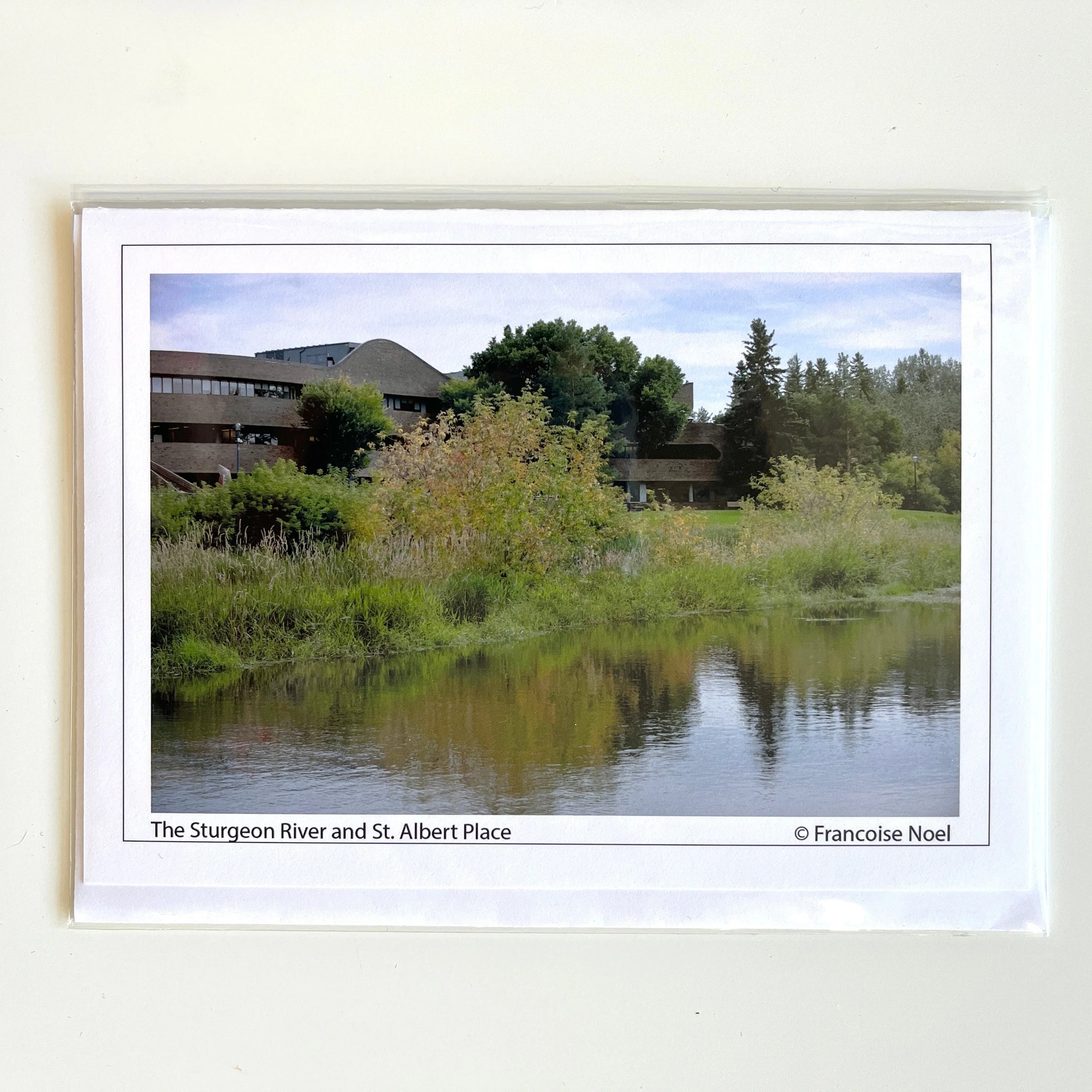 Francoise Noel Cards - Image 3