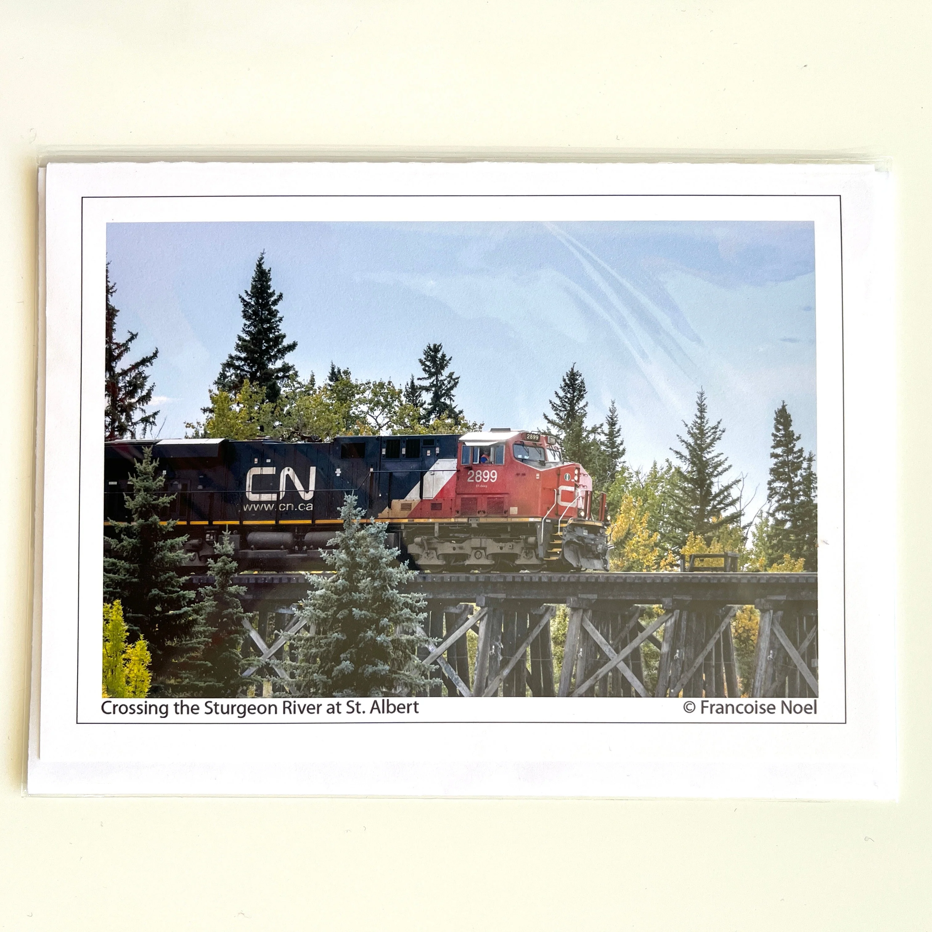 Francoise Noel Cards - Image 5