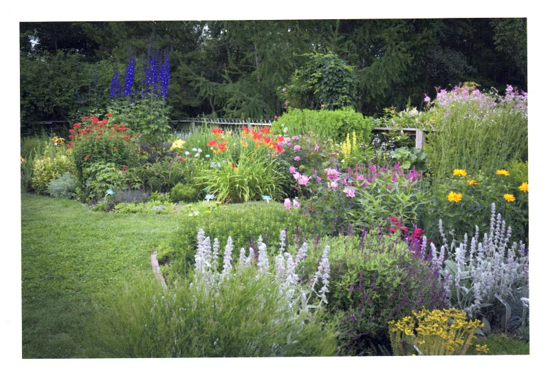 Francoise Noel Cards - Image 6