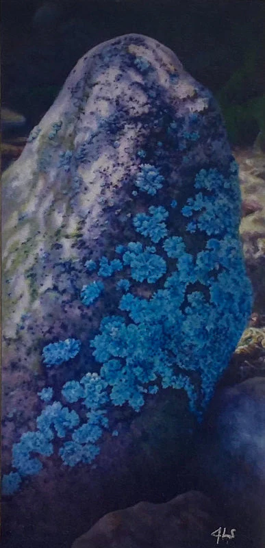 Art Magnets - Image 5