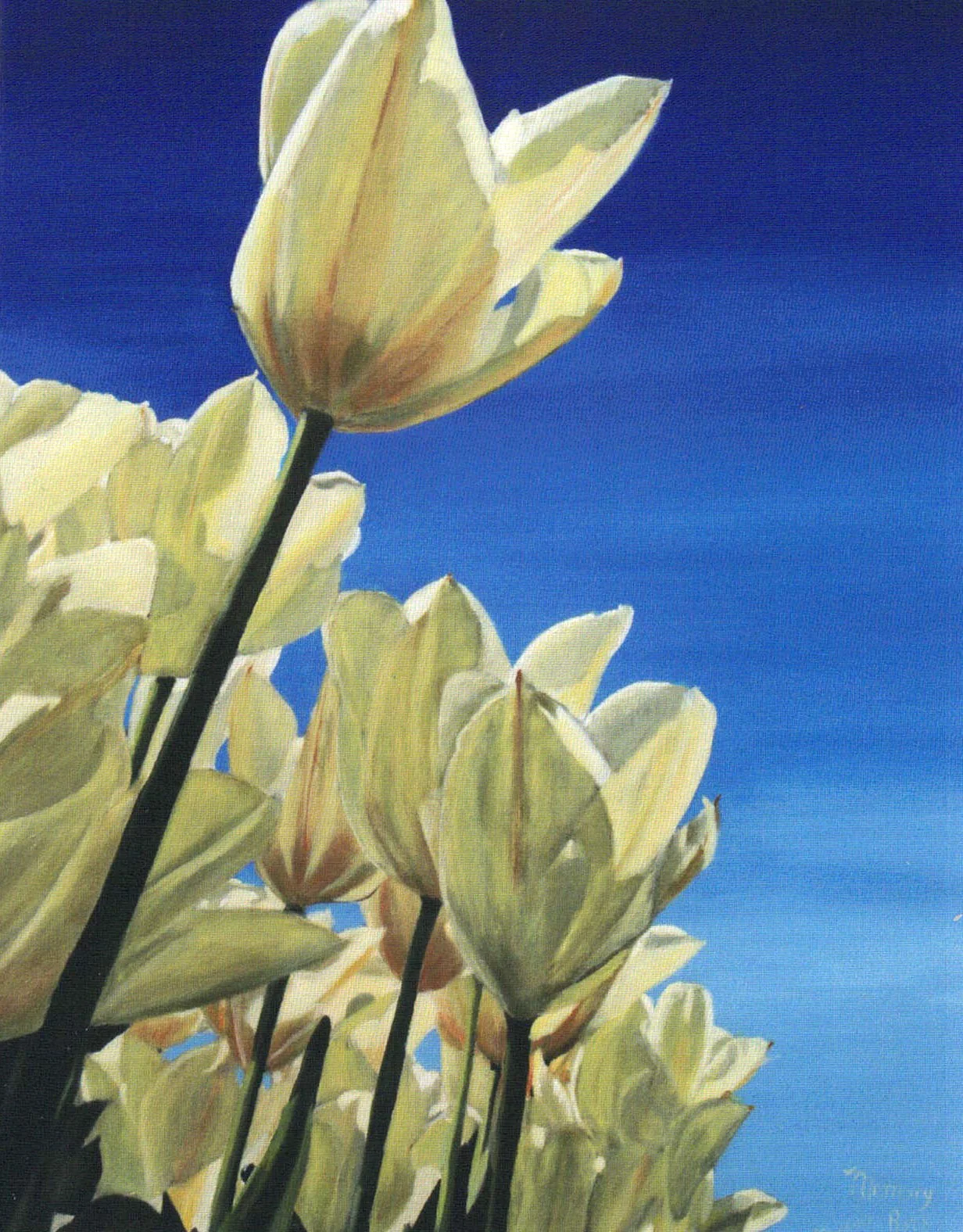 Floral Series Art Cards by Memory Roth - Image 11