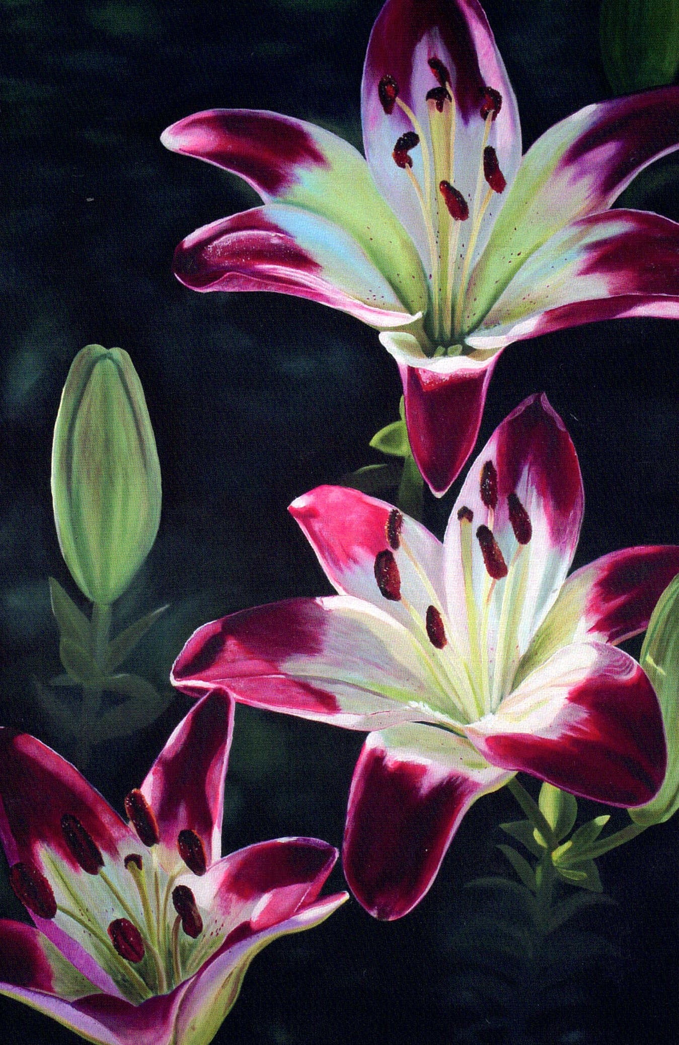 Floral Series Art Cards by Memory Roth - Image 8