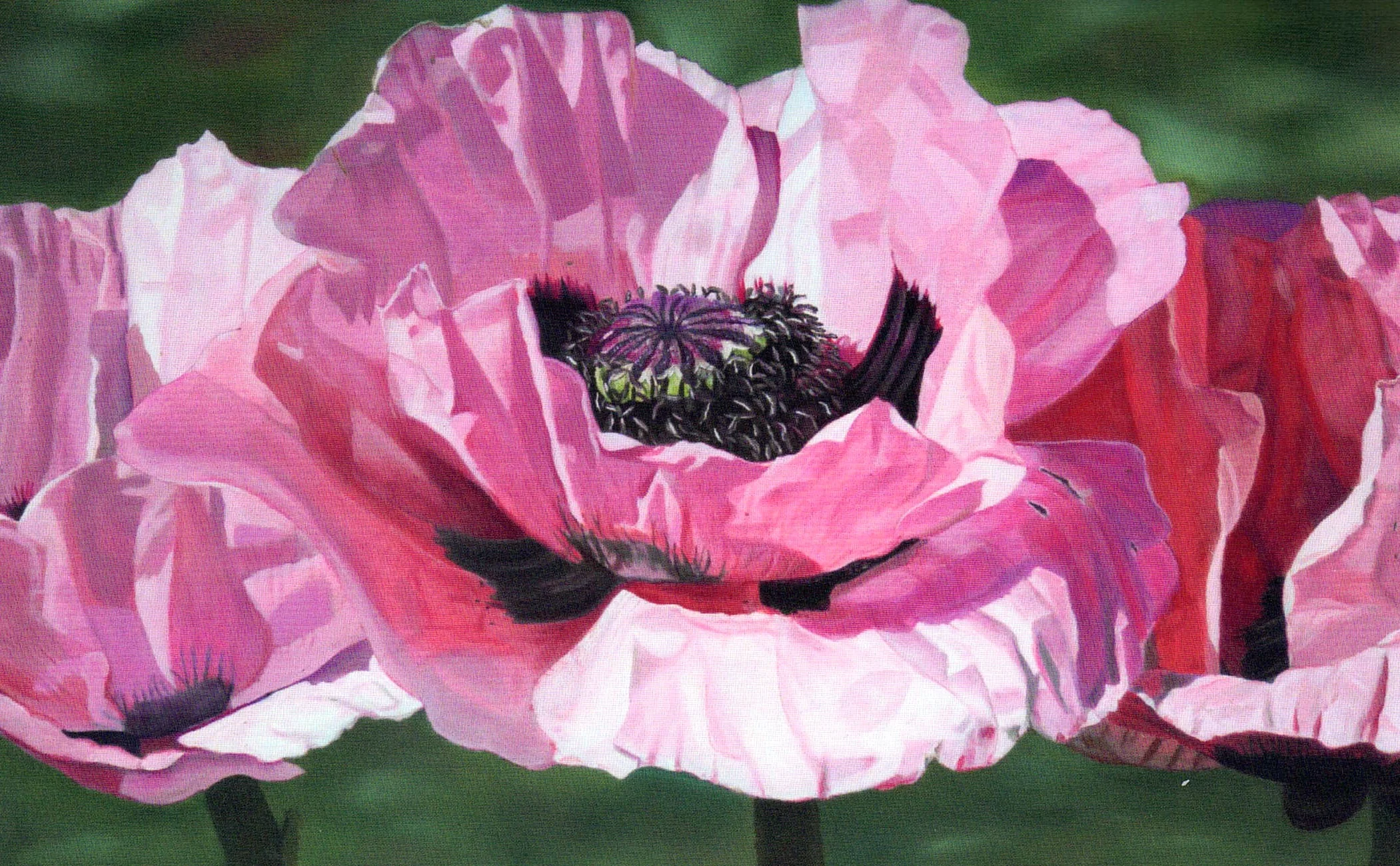 Floral Series Art Cards by Memory Roth - Image 9