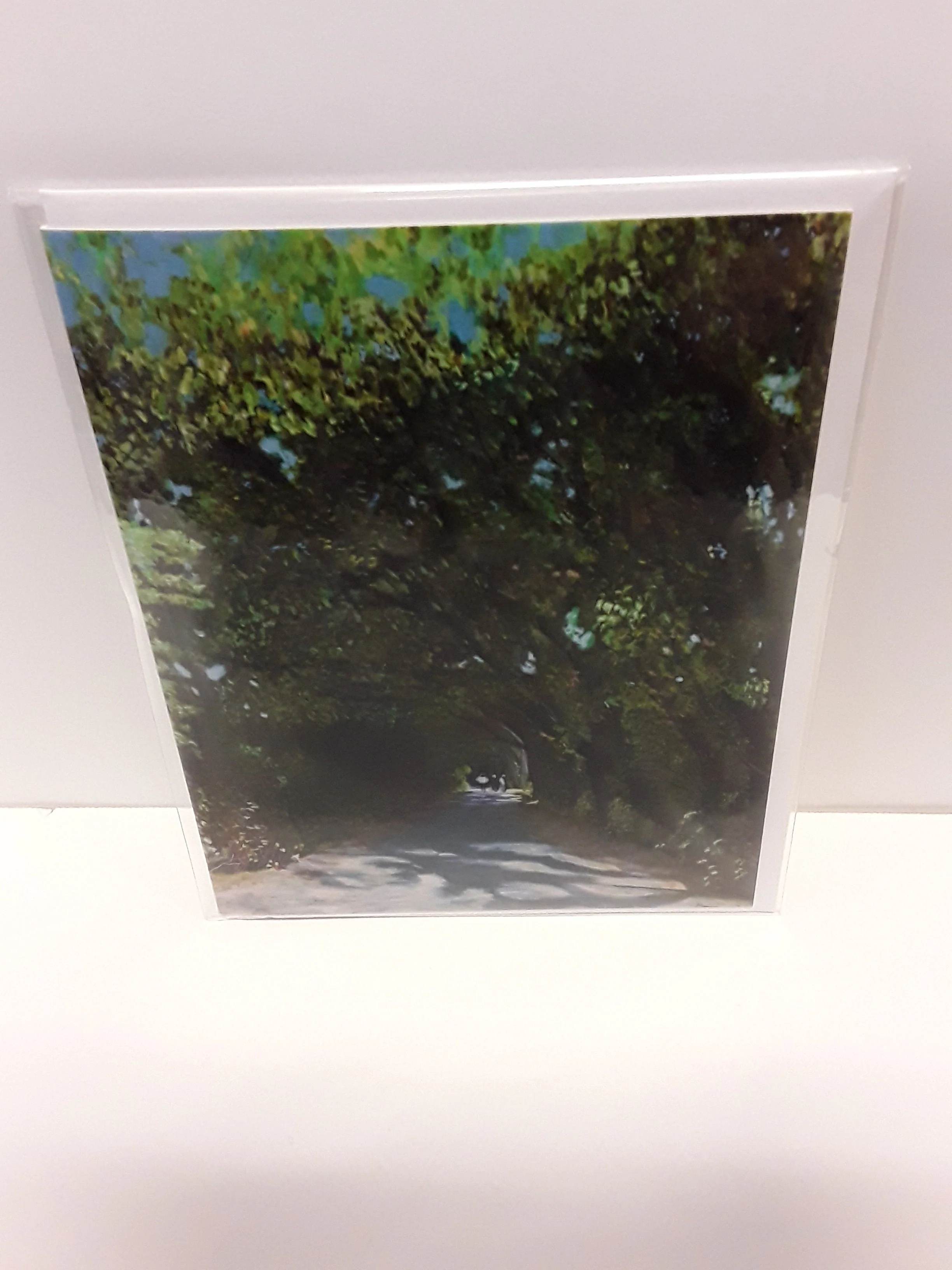 Memory Roth greeting cards - Image 3