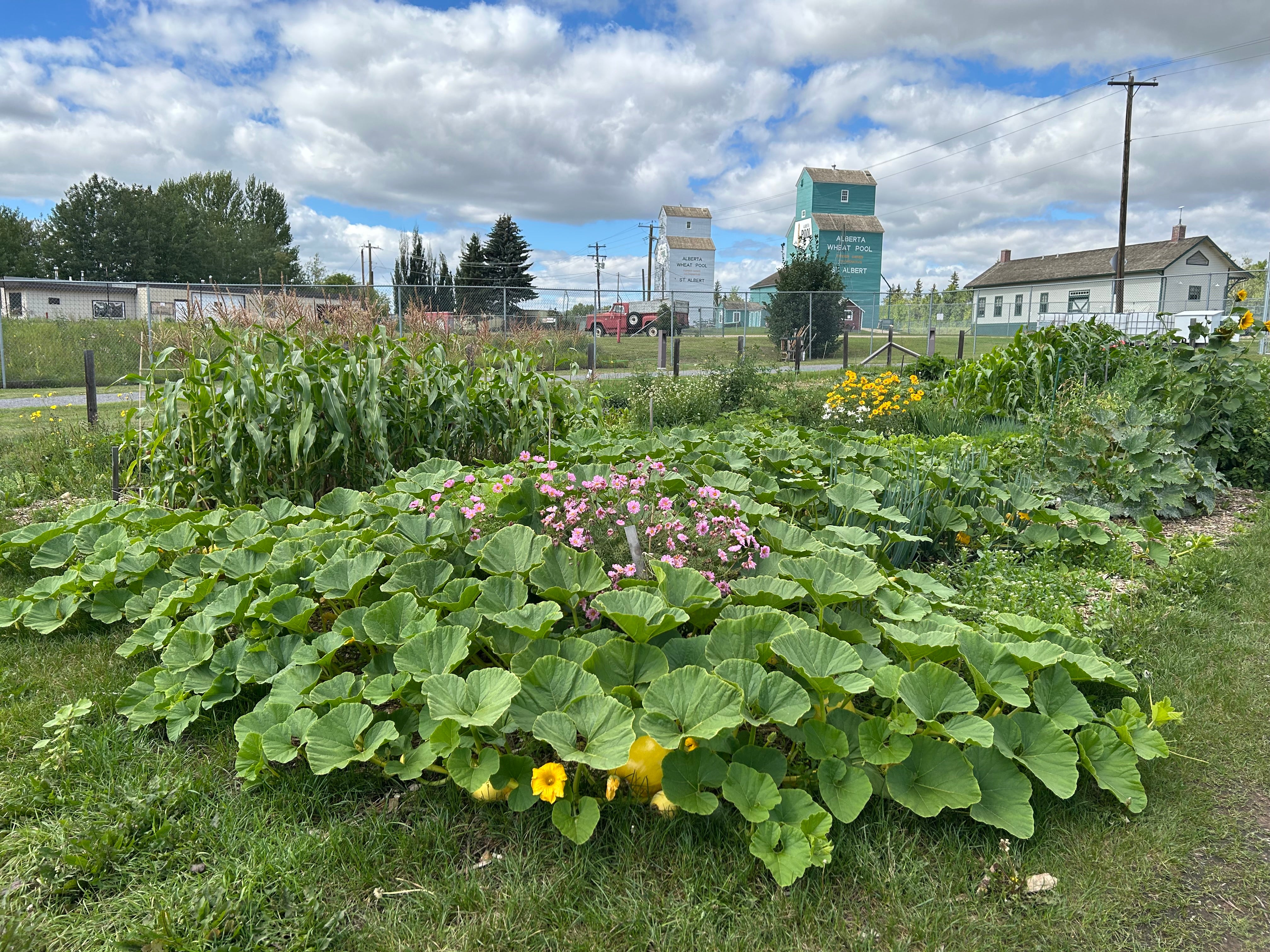 Planning + Planting a Healthy Garden - Image 2