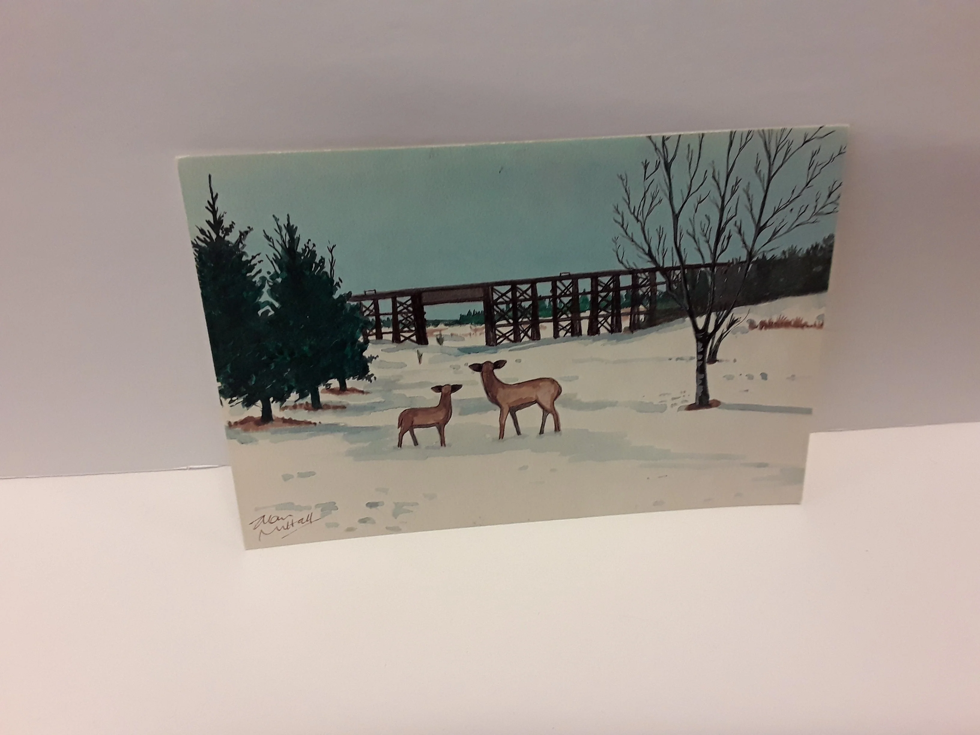 Alan Nuttall Postcards - Image 10