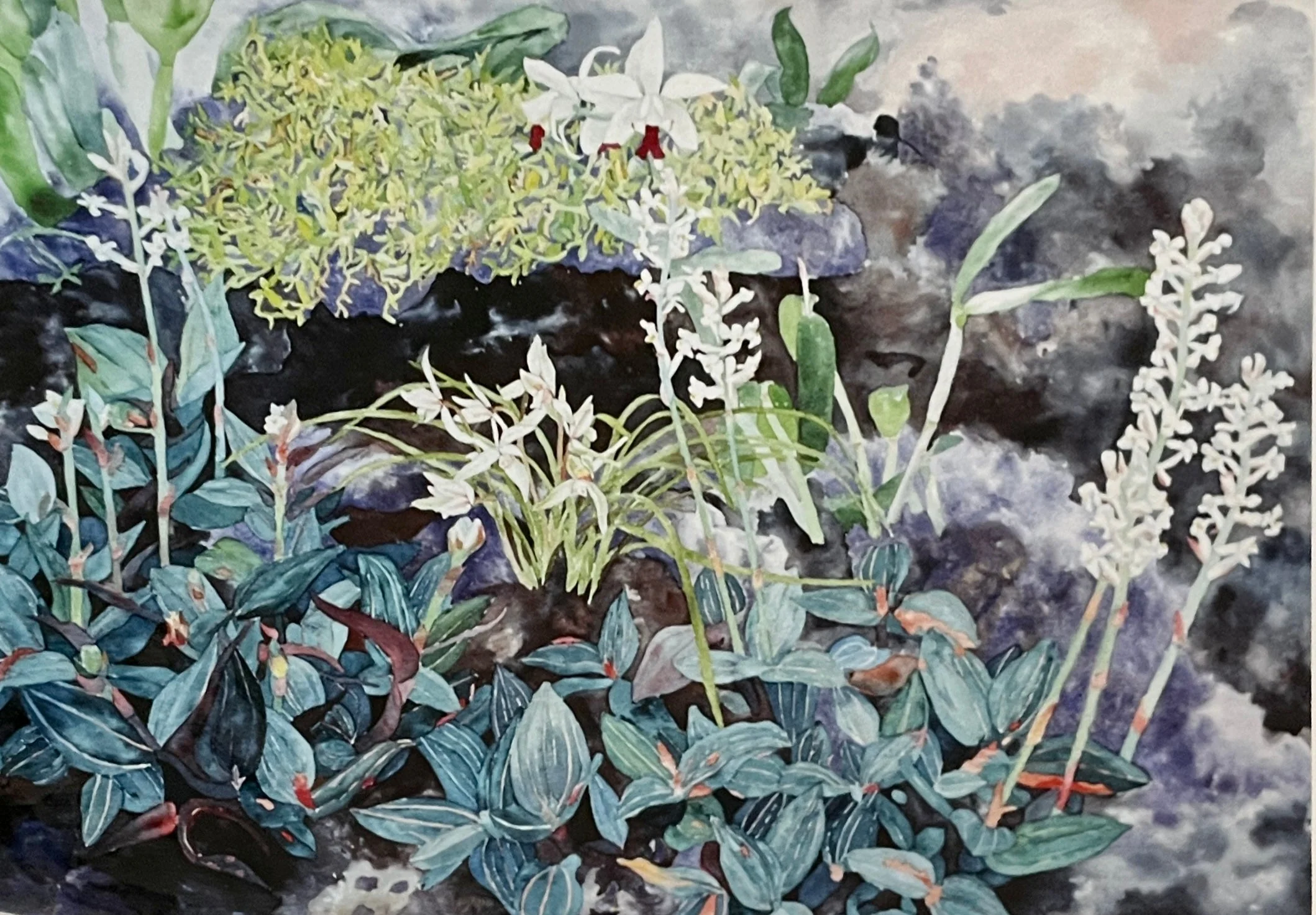 Rayma Peterson Art Cards - Image 3