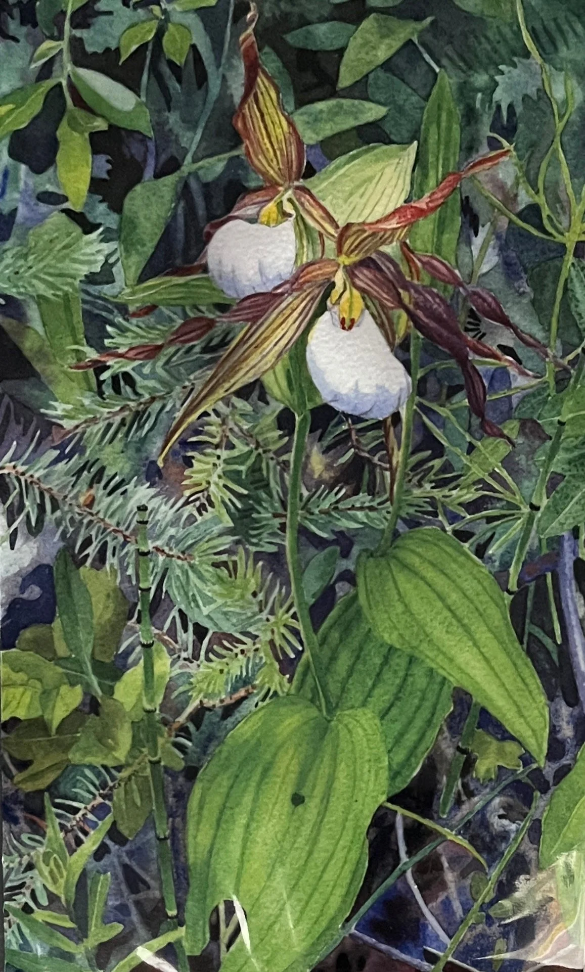 Rayma Peterson Art Cards - Image 4
