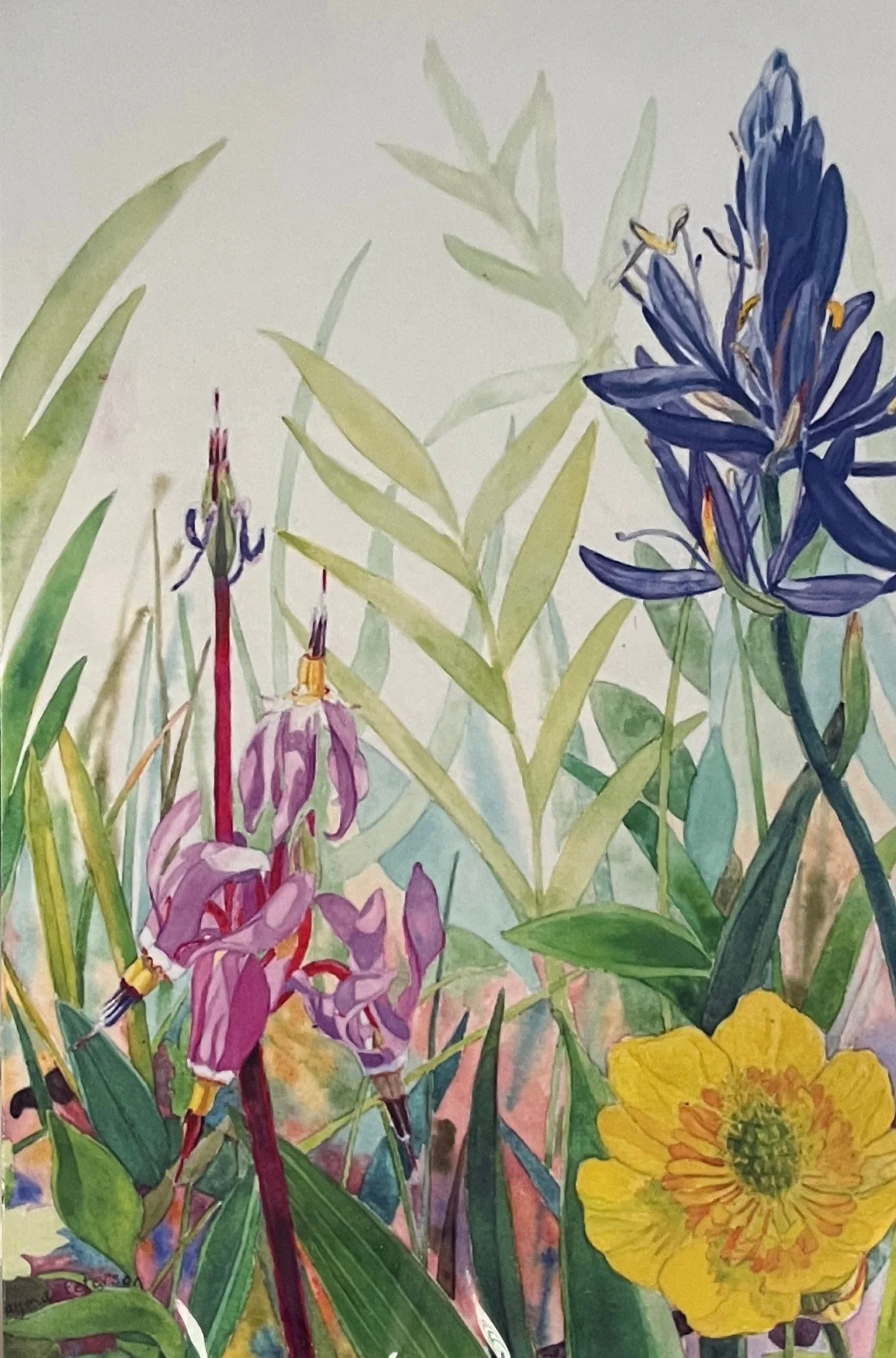 Rayma Peterson Art Cards - Image 5