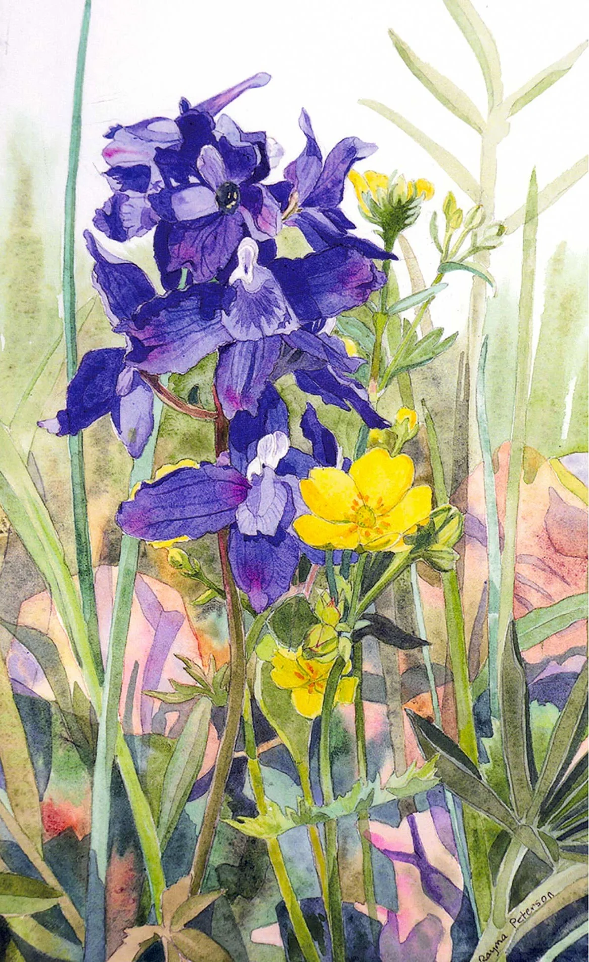 Rayma Peterson Art Cards - Image 8