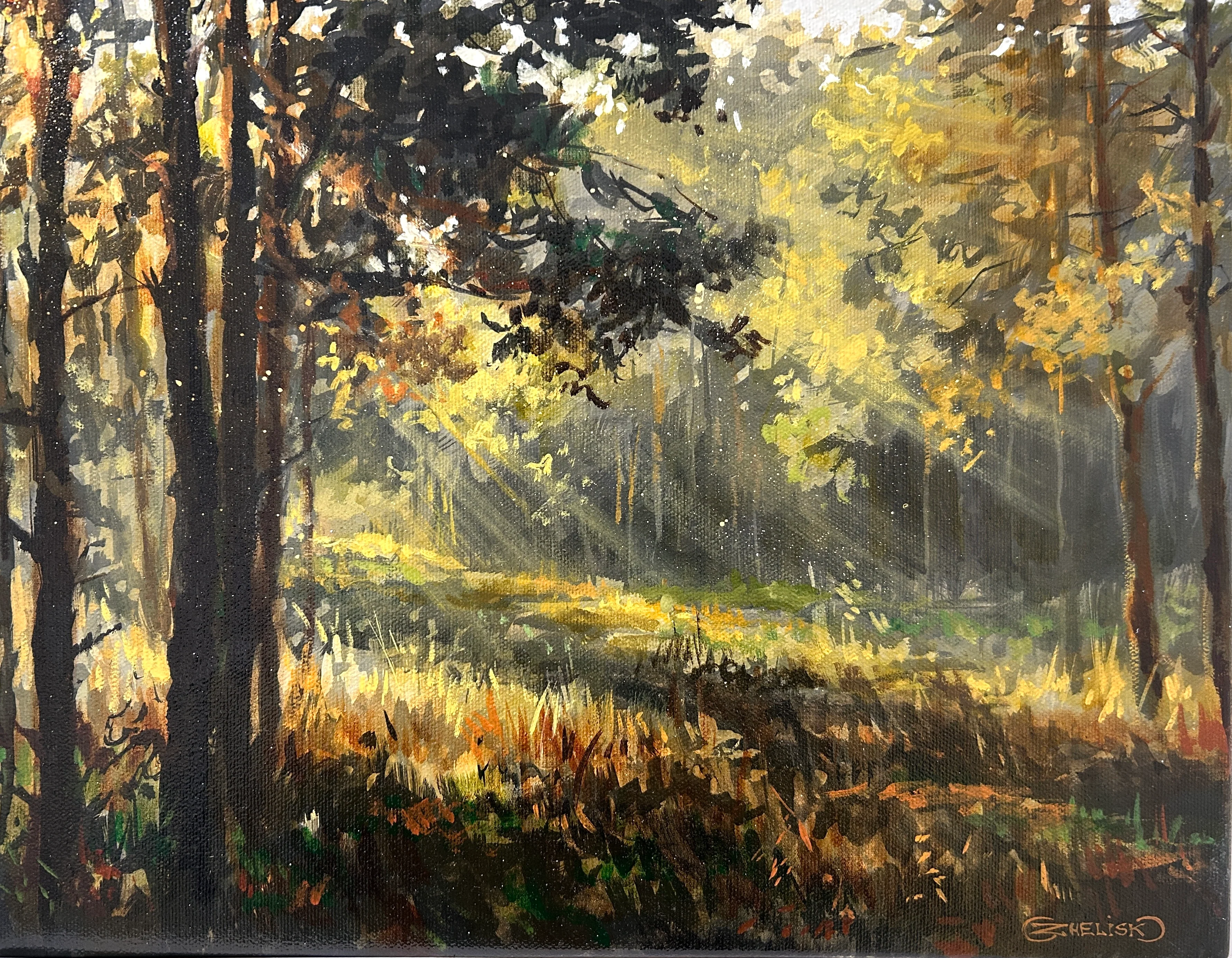 Sun Rays