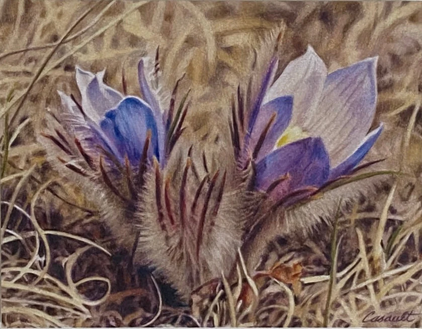 Susan Casault Art Cards - Image 5