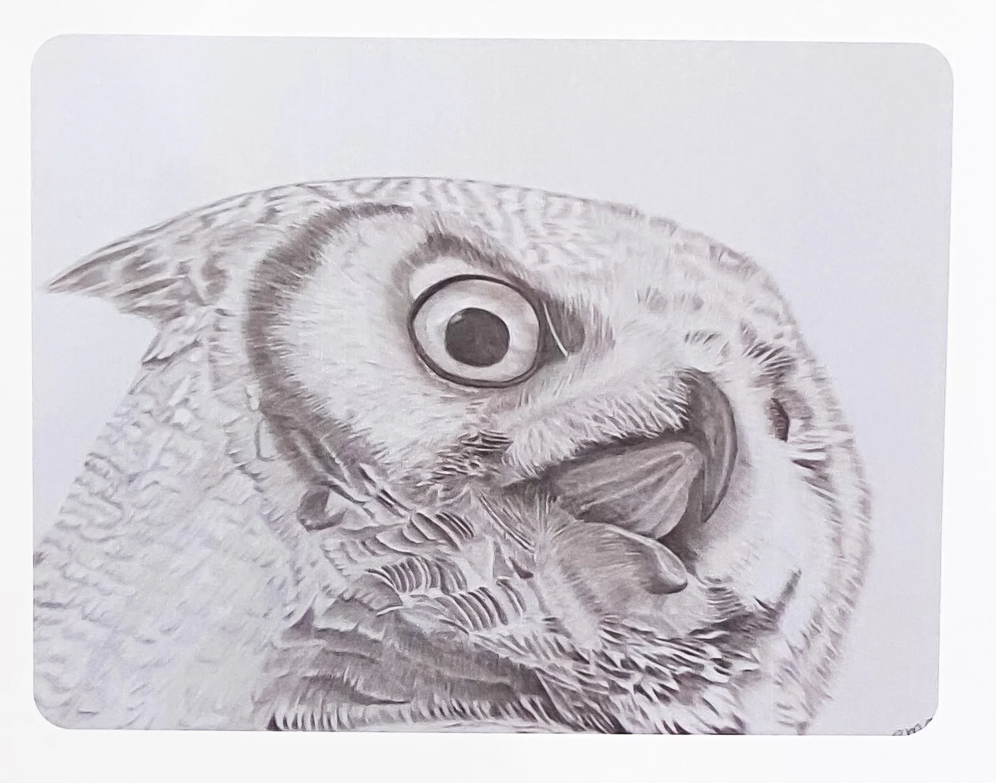 Birds in Graphite Art Cards By Gerald Delorme - Image 4