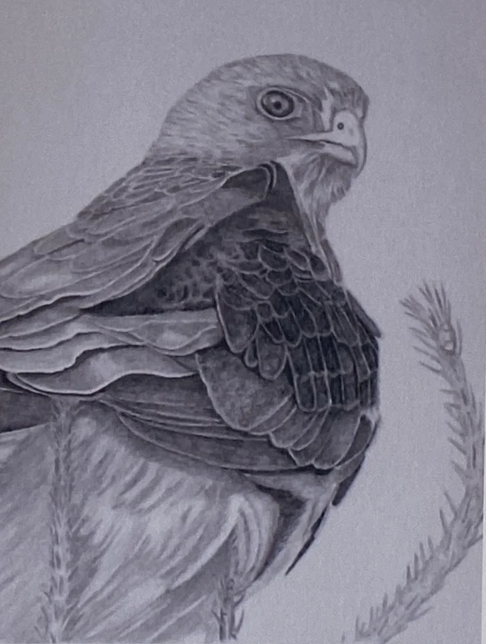 Birds in Graphite Art Cards By Gerald Delorme - Image 6