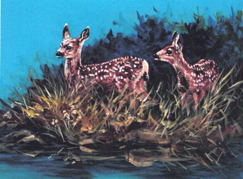 Teresa Stieben Art Cards - Image 14