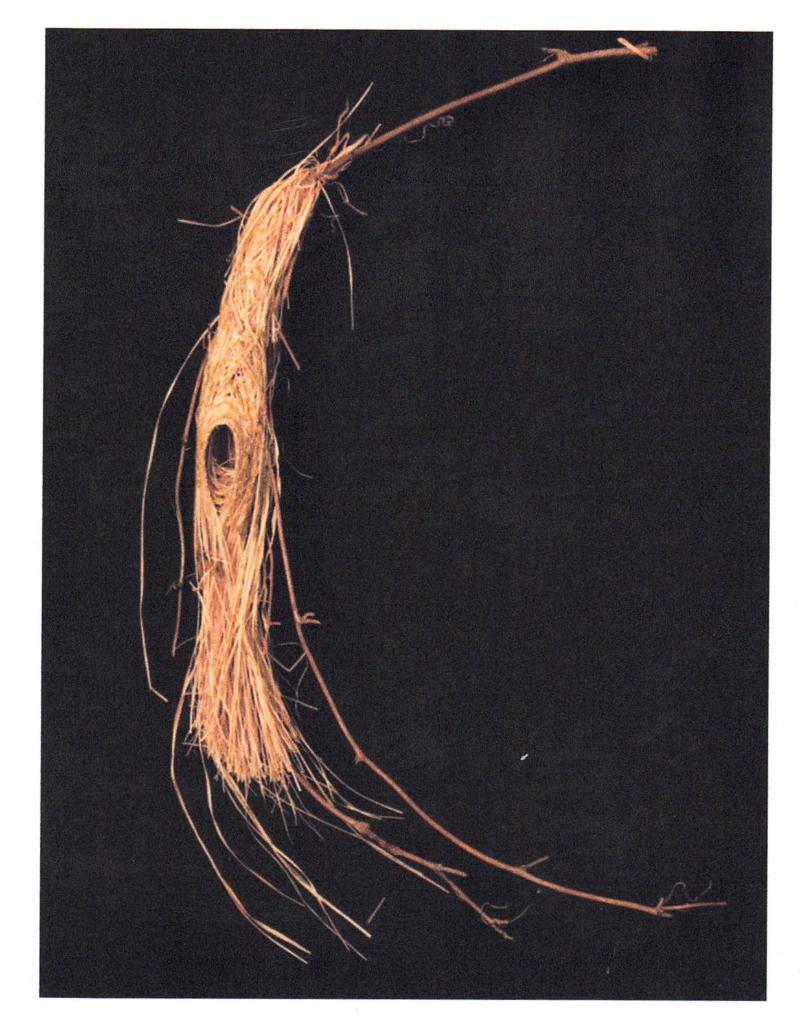 Teresa Stieben Art Cards - Image 3