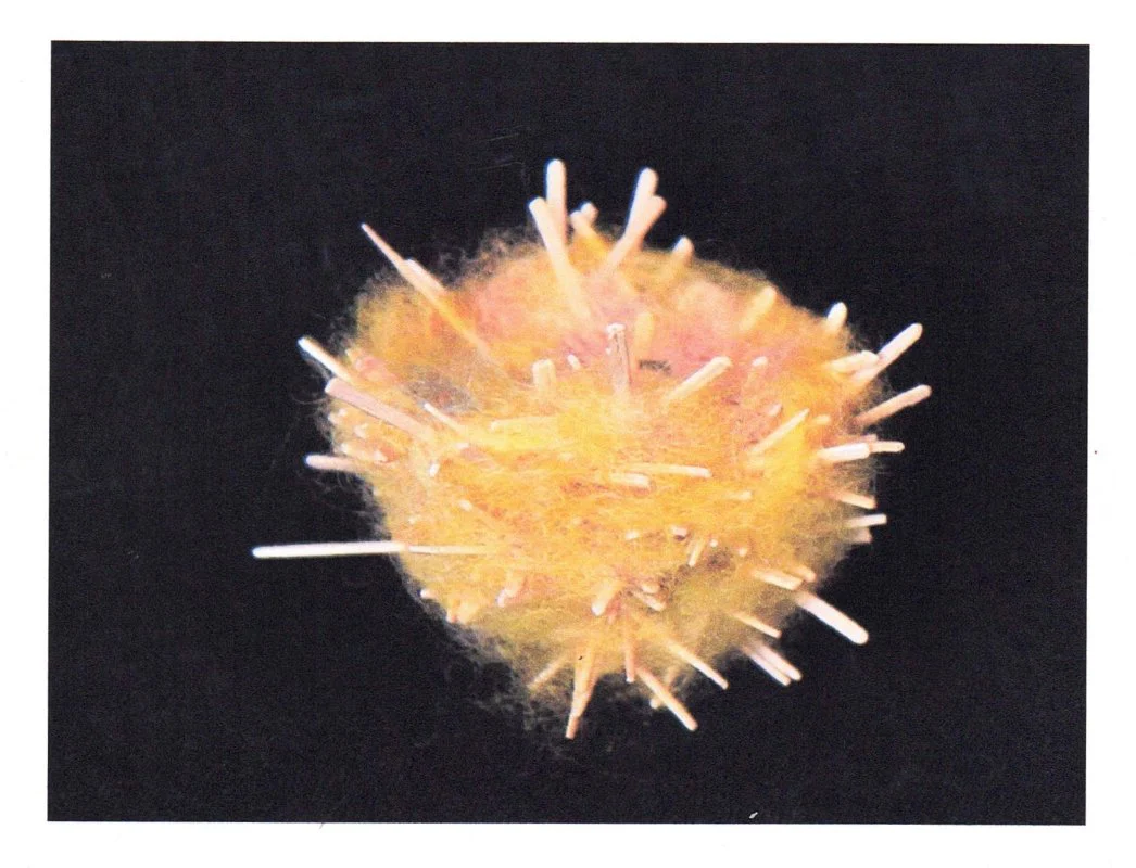 Teresa Stieben Art Cards - Image 7